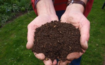 Kompostmarkt in Seelze am 24. März: In Letter gibt’s Qualitätskompost mit Gütesiegel – torffrei gärtnern fürs Klima