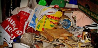 Müll weg: Seelze räumt auf! Viele Stadtteile starten Sauberkeitstage bis Ende März – mit Treffpunkten, Zeiten und Aktionen