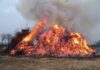 Osterfeuer brennen wieder: Beliebte Tradition im Stadtgebiet erwacht zu neuem Leben. Zahlreiche Veranstaltungen stehen bevor