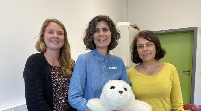 Lesefreude mit Robbe in Seelze: Die Stadtbibliothek fördert mit Therapierobbe „Paro“ gezielt Kinder aus vier Schulen