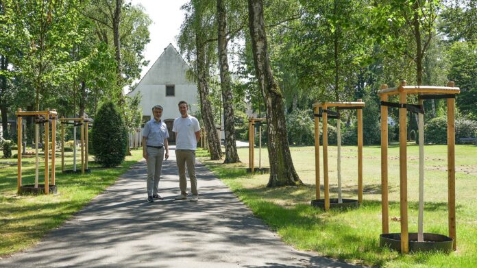 Bürgermeister Alexander Masthoff und Mischa Wittmar-Streich betrachten die neuen Alleebäume auf dem Friedhof Letter In Seelze pflanzt die Stadt mit 420.000 Euro Fördermittel mehr als 230 Bäume auf Friedhöfen und stärkt so Klimaresilienz und Artenvielfalt